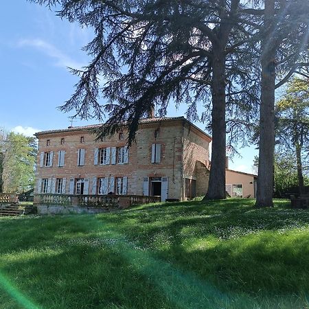 Le Jardin Des Cedres Hotel Lavaur  Exterior photo