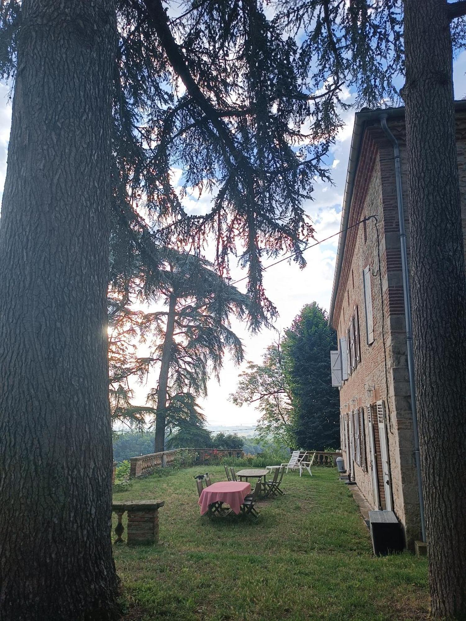 Le Jardin Des Cedres Hotel Lavaur  Exterior photo