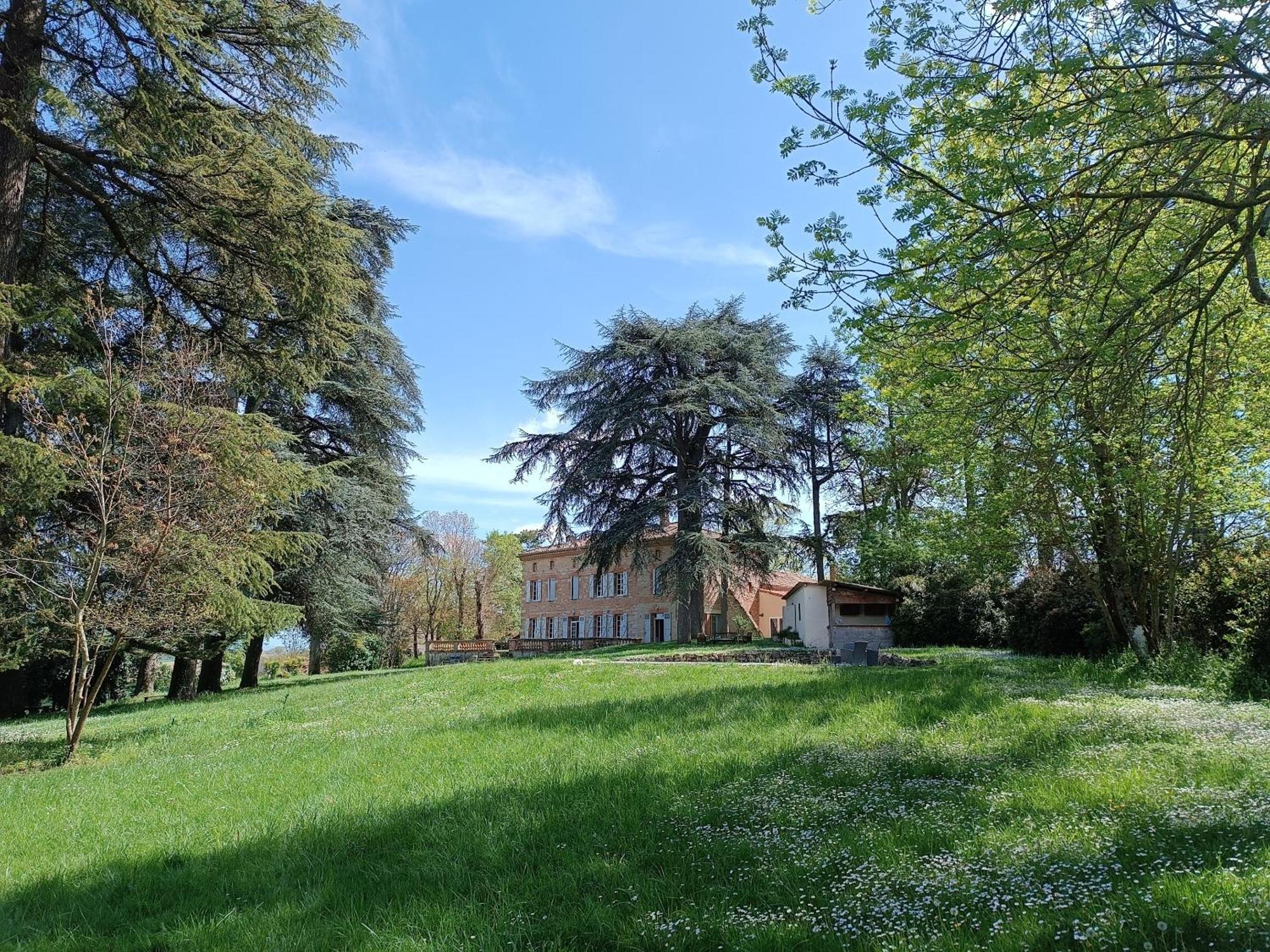 Le Jardin Des Cedres Hotel Lavaur  Exterior photo